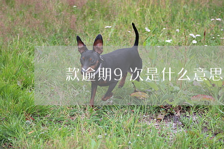 貸款逾期9次是什么意思(逾期累計九次)