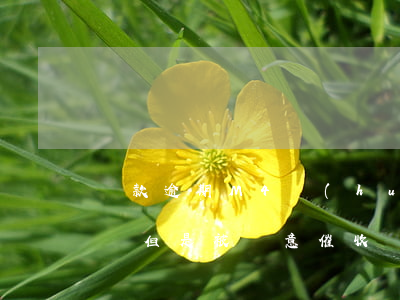貸款逾期M4會(huì)怎樣催收(沒有借貸但是被惡意催收)