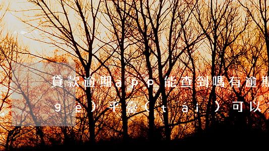 貸款逾期app能查到嗎(有逾期記錄哪個(gè)平臺(tái)可以貸款)