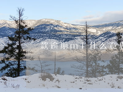 貸款逾期m1什么意思(m1逾期通俗解釋)
