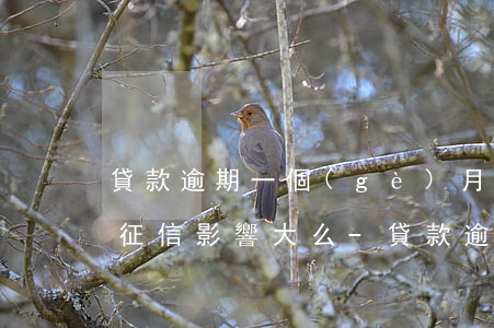 貸款逾期一個(gè)月還上對(duì)征信影響大么-貸款逾期一個(gè)月還上對(duì)征信影響大么?