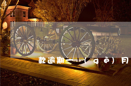 貸款逾期一個(gè)月還可以嗎