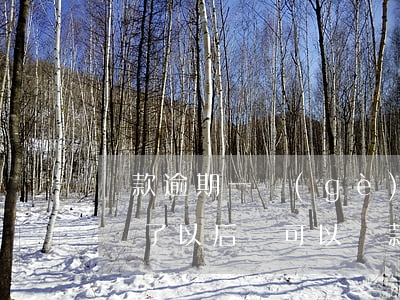 貸款逾期一個(gè)月還能貸不(貸款逾期還了以后還可以貸款嗎)