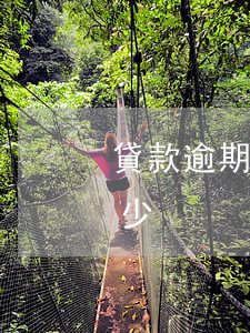 貸款逾期一個月利息多少(逾期利息一般是多少)