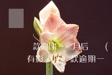 貸款逾期一個月后來結(jié)清了以后有影響-貸款逾期一個月后來結(jié)清了以后有影響嗎
