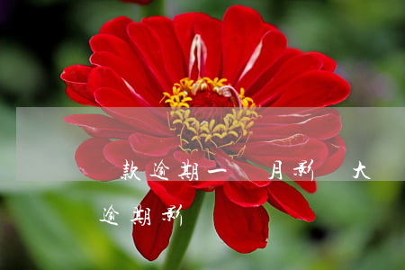 貸款逾期一個月影響大嗎(銀行貸款有一個月逾期影響嗎)