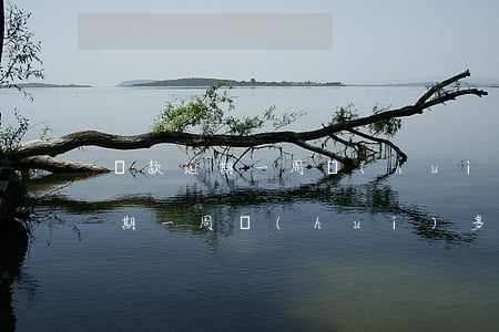 貸款逾期一周會(huì)多扣錢嗎(貸款逾期一周會(huì)多扣錢嗎)