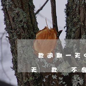 貸款逾期一天90天區(qū)別(逾期90天貸款與不良貸款區(qū)別)