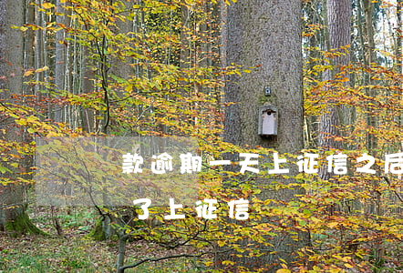 貸款逾期一天上征信之后(信貸逾期一天馬上還了上征信?)
