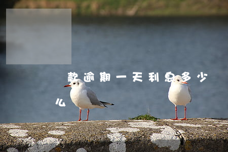 貸款逾期一天利息多少(貸款利息逾期一天怎么辦)