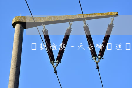 貸款逾期一天去哪處理(貸款逾期1天)