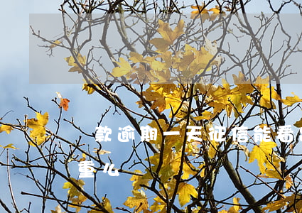 貸款逾期一天征信能看出(征信有一天逾期嚴重么)
