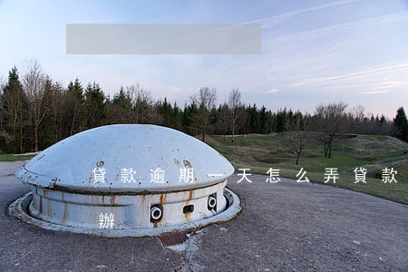 貸款逾期一天怎么弄(貸款利息逾期一天怎么辦)