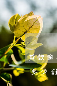 貸款逾期一天怎么罰息(貸款一萬逾期一個月多少罰息)