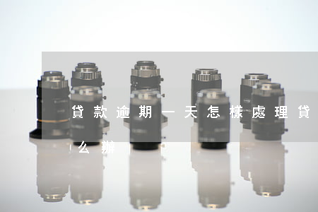 貸款逾期一天怎樣處理(貸款利息逾期一天怎么辦)