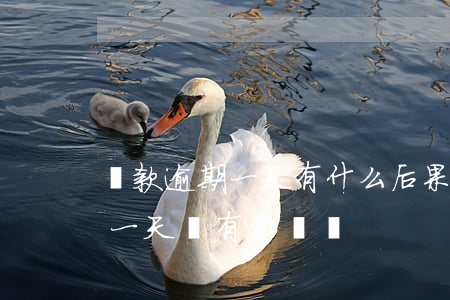 貸款逾期一天有什么后果(貸款不小心逾期了一天會有影響嗎)