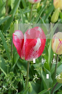 貸款逾期一天立馬還款會有影響嗎-逾期多久會被列入失信人名單