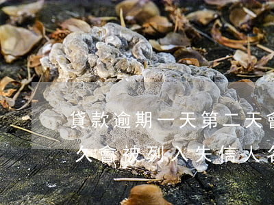 貸款逾期一天第二天會自動扣款嗎-逾期多久會被列入失信人名單