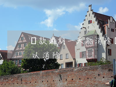 貸款逾期一天能消除嗎(貸款逾期一次多久可以消除)