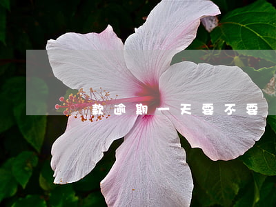 貸款逾期一天要不要緊(貸款逾期一天要不要緊)