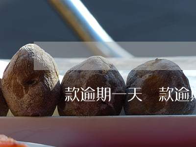 貸款逾期一天(貸款逾期一天還可以貸款嗎)