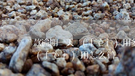 貸款逾期一天費(fèi)用多少(貸款逾期費(fèi)用怎么算)