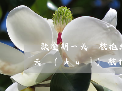 貸款逾期一天車被拖走違法嗎(貸款車逾期一天會(huì)被拖走么)
