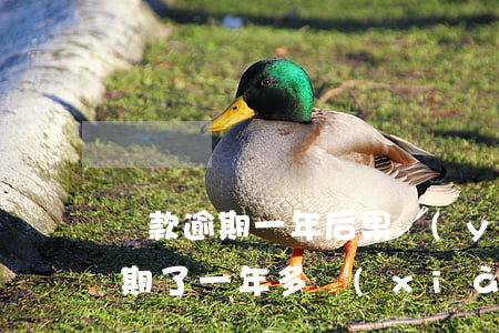 貸款逾期一年后果嚴(yán)重(我貸款逾期了一年多現(xiàn)在還沒還,有影響嗎?)