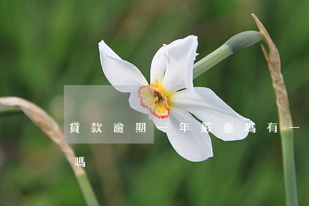 貸款逾期一年嚴重嗎(有一次逾期貸款有影響嗎?)