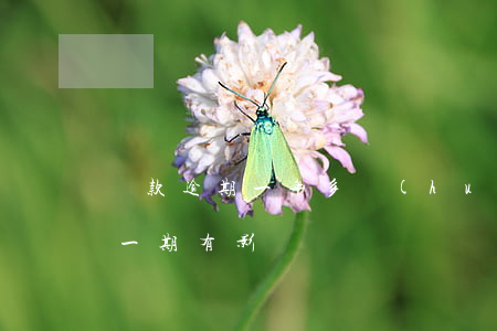 貸款逾期一年多會(huì)怎樣(貸款逾期一期有影響嗎)