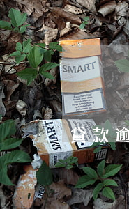 貸款逾期一年申請展期(一年期貸款展期最長)
