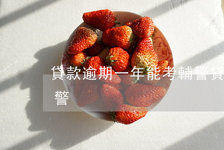 貸款逾期一年能考輔警(貸款逾期一年能考輔警)