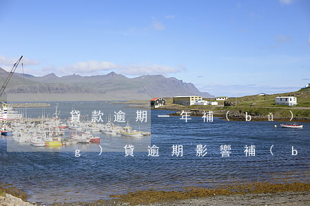 貸款逾期一年補(bǔ)身份證(網(wǎng)貸逾期影響補(bǔ)辦身份證嗎)