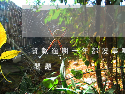 貸款逾期一年都沒事吧(貸款逾期一天有沒有問題)