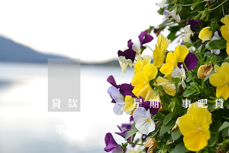 貸款逾期一星期沒事吧(貸款利息逾期一天沒事吧)