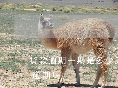 貸款逾期一期是多少天(我的房貸逾期幾天 算逾期嗎)