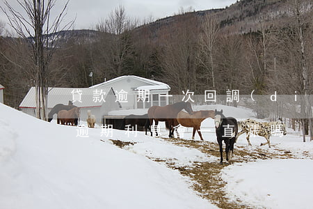 貸款逾期一次回調(diào)利率嗎(貸款逾期利息會一直漲嗎)