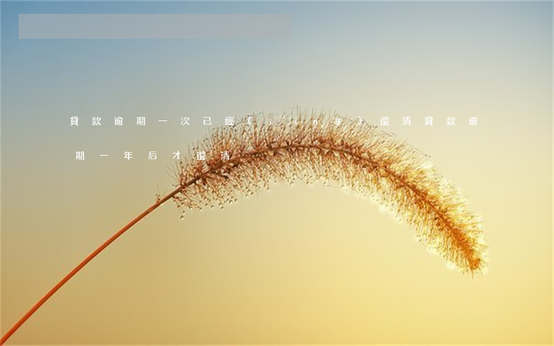 貸款逾期一次已經(jīng)還清(貸款逾期一年后才還清)