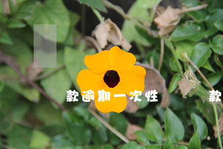 貸款逾期一次性償還(貸款逾期一年后才還清)