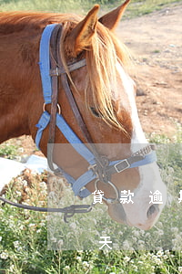 貸款逾期一次是多少天(貸款逾期一次是多少天)