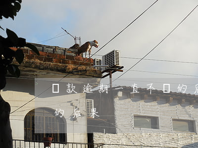 貸款逾期一直不還的后果(貸款逾期一直不還的后果)