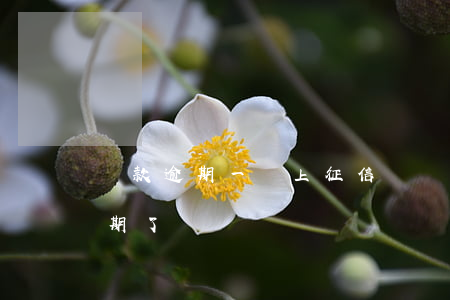貸款逾期一開上征信嗎(為什么征信突然有逾期了)