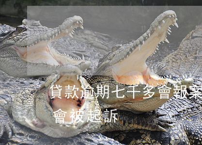 貸款逾期七千多會報案嗎(貸款三千逾期會不會被起訴)
