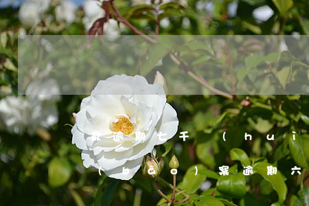貸款逾期七千會(huì)不會(huì)報(bào)案(逾期六千多也會(huì)被起訴嗎)