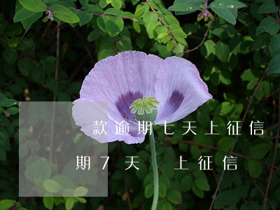 貸款逾期七天上征信嗎(網(wǎng)貸逾期7天會上征信嗎)