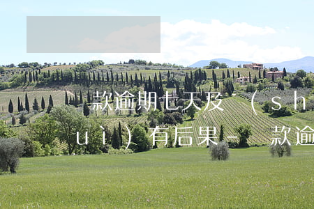 貸款逾期七天及時(shí)已還清會(huì)有后果-貸款逾期七天及時(shí)已還清會(huì)有后果拍拍貸