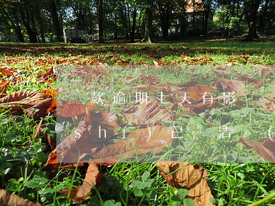 貸款逾期七天有影響嗎(貸款逾期七天及時(shí)已還清會(huì)有后果)