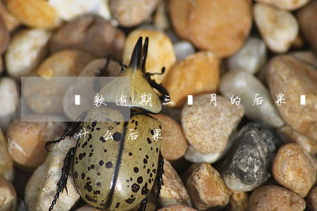 貸款逾期三個月的后果(銀行貸款逾期三個月什么后果)