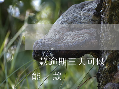 貸款逾期三天可以還貸款嗎 三次逾期一天還能貸款嗎
