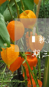 貸款逾期三天嚴(yán)重么(銀行貸款逾期三天怎么辦)